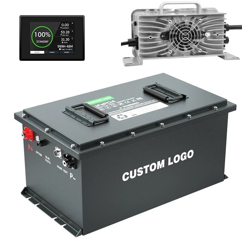 OEM/ODM 라이프포4 배터리 골프 카트 배터리 24V 36V 48V 72V 50Ah 100Ah 200Ah 스마트 BMS